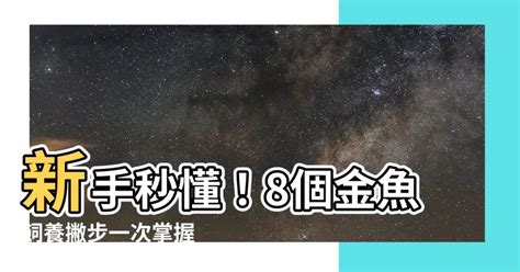 金魚養法|金魚飼養新手入門：8個金魚飼養技巧大公開（新手必讀）